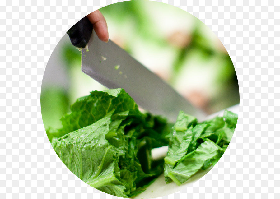 Vegetarische Küche Salsa Leaf vegetable Spring grünen Grünkohl - kopfsalat