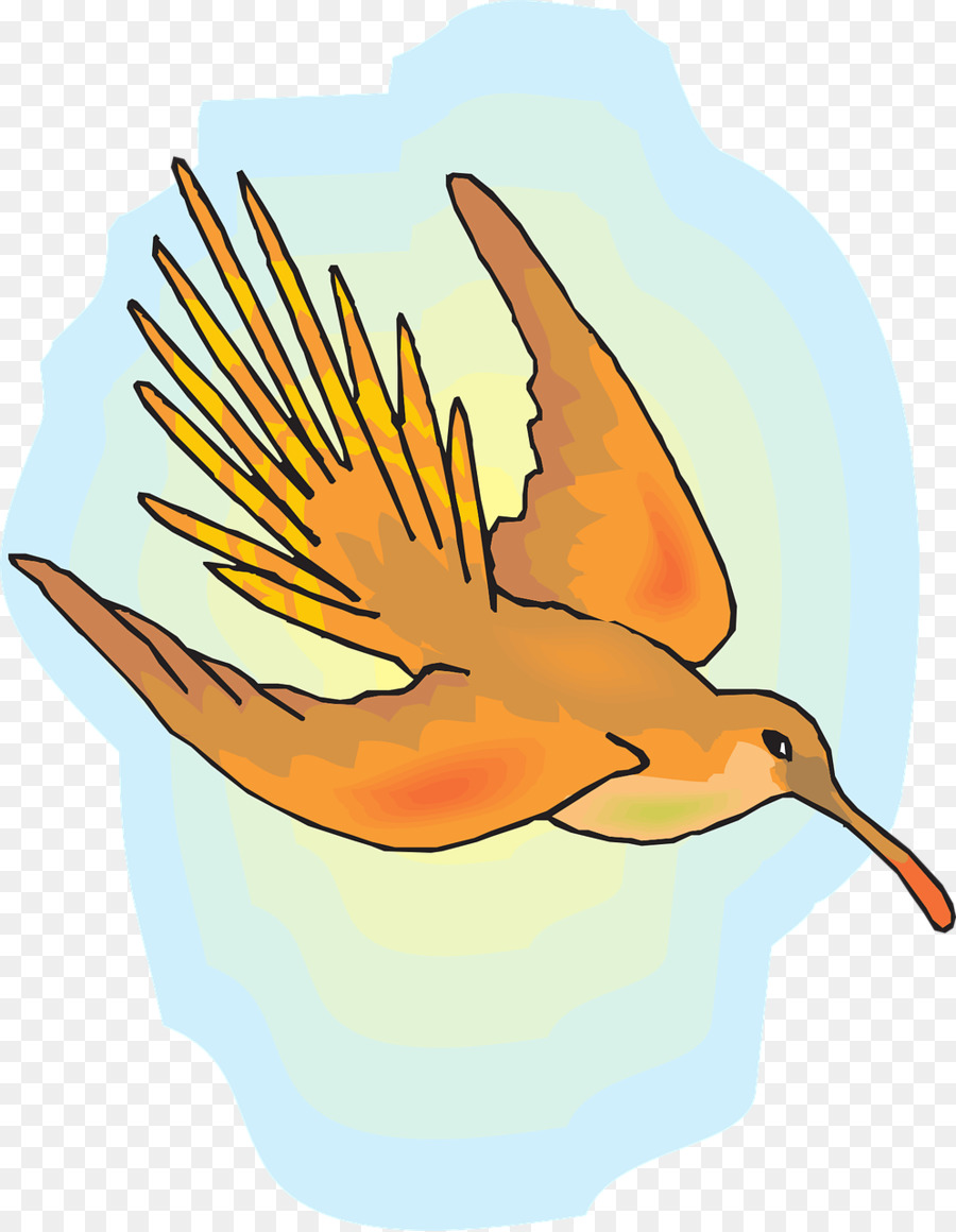 Hummingbird Flight - Flying Bird