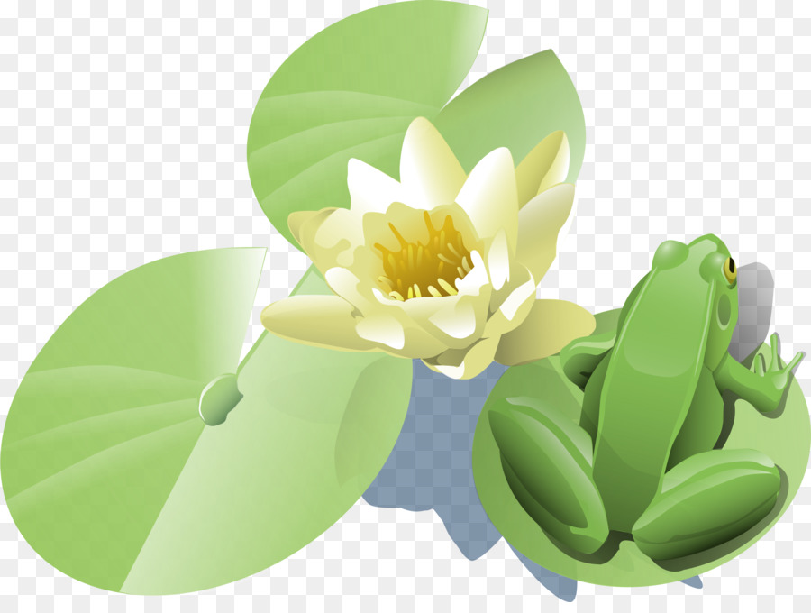 Frosch ägyptischen lotus Clip-art - Seerose