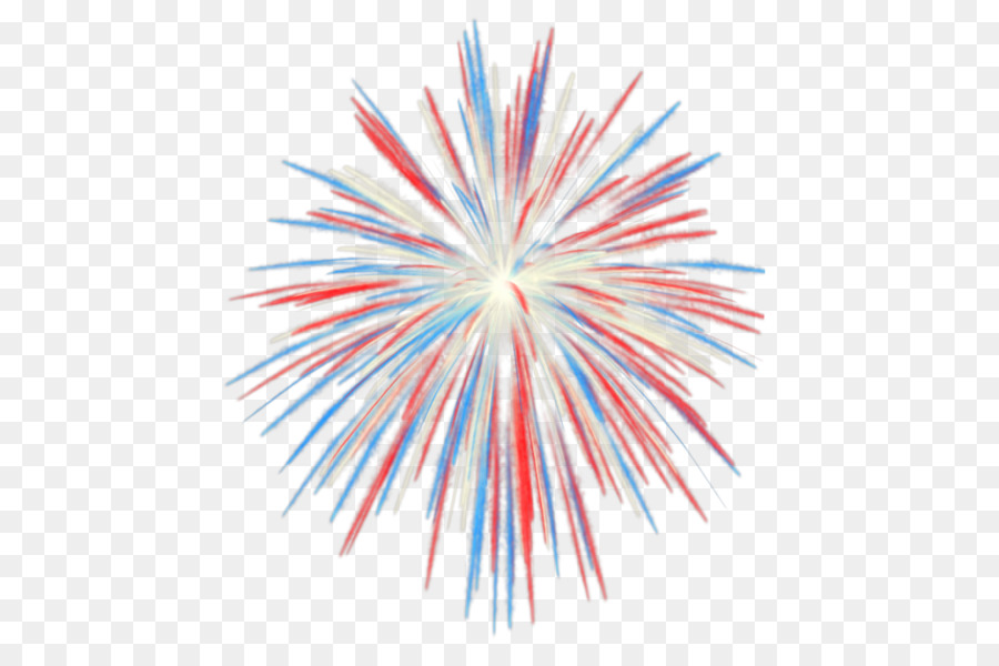 Independence Day Feuerwerk Clip art - feier