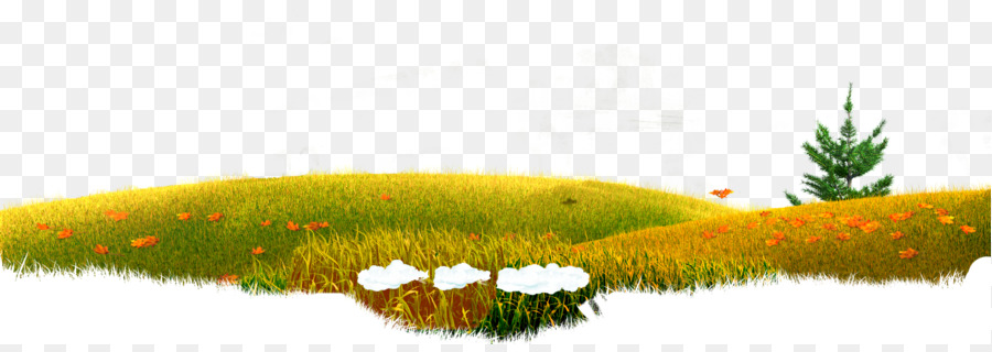 Wasser-Ressourcen-Desktop Wallpaper Gräser Vegetation - Mascha und der Bär