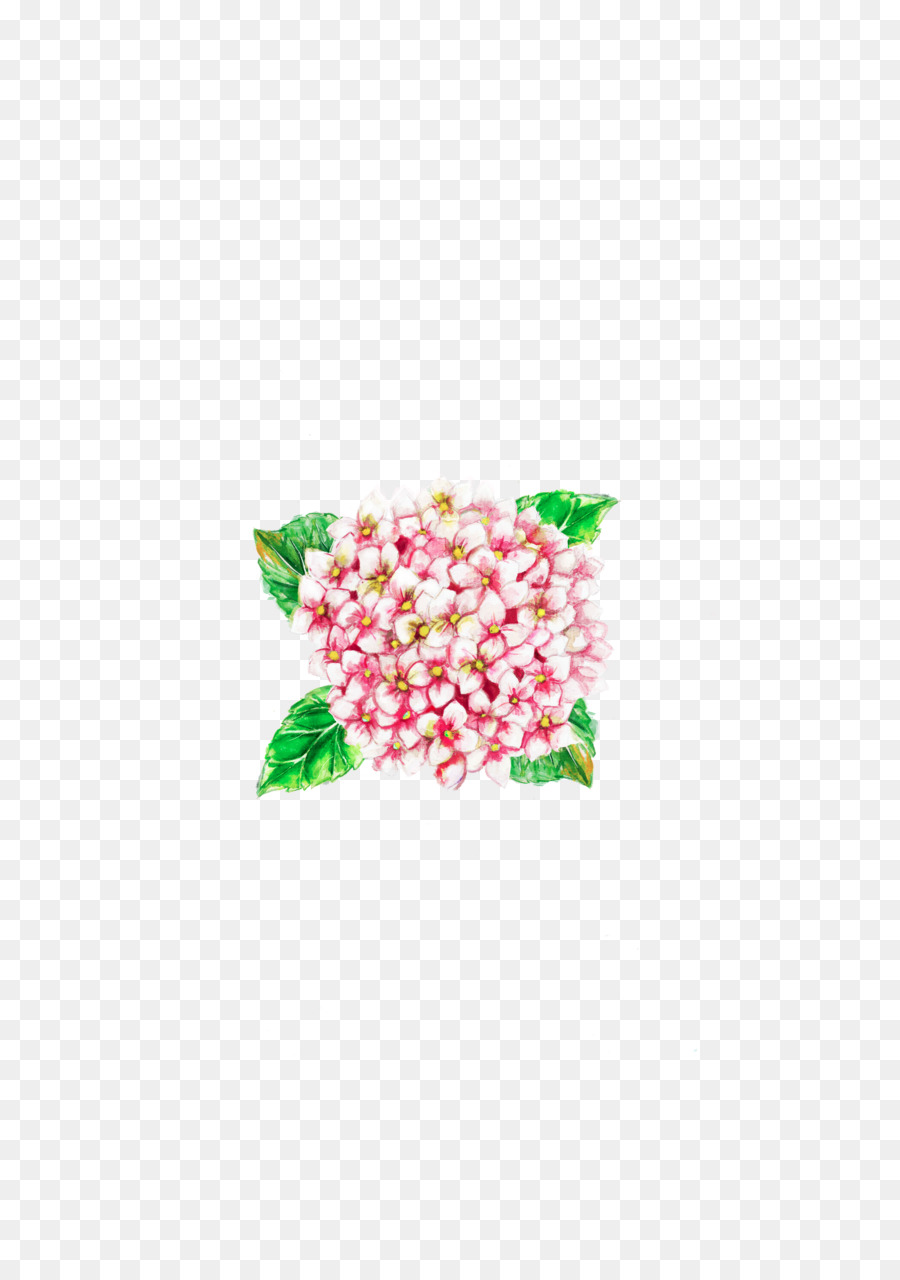 Blüte Rosa Hydrangea Bird - Hortensie
