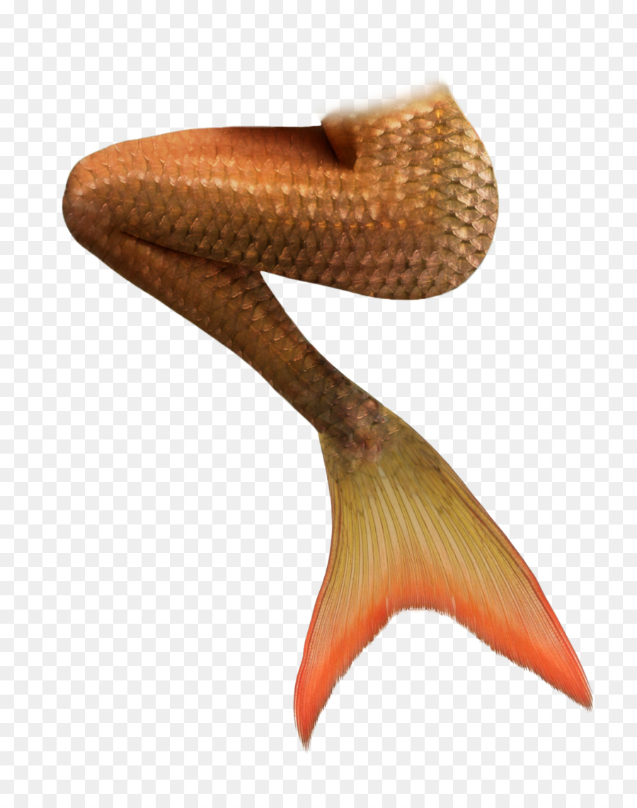 Mermaid Schwanz Sirene - mermaid Schwanz