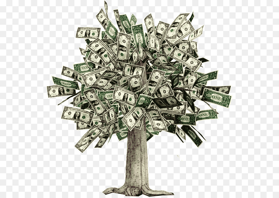 Trees Cartoon png download - 600*636 - Free Transparent Money png Download.  - CleanPNG / KissPNG