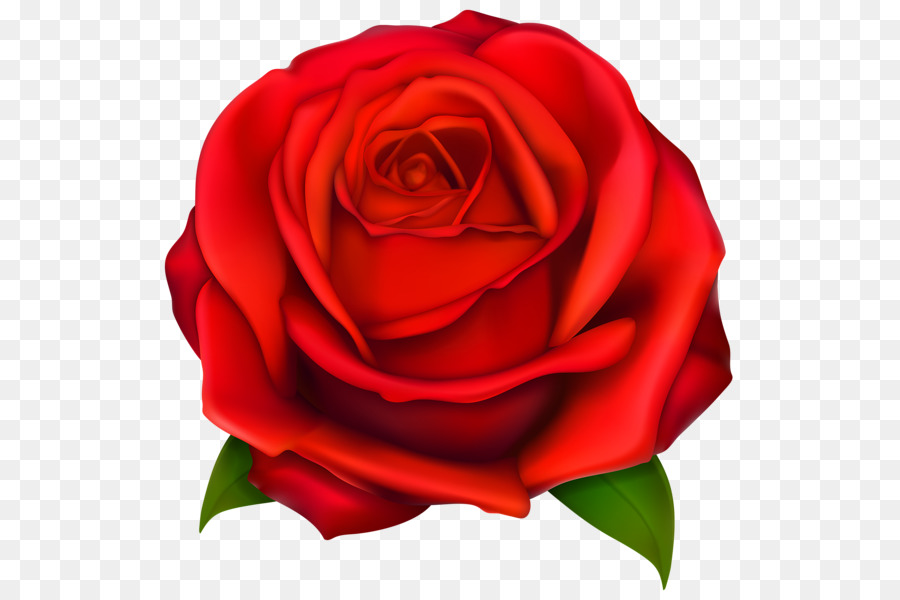 Rose Clip nghệ thuật - bông hồng đỏ
