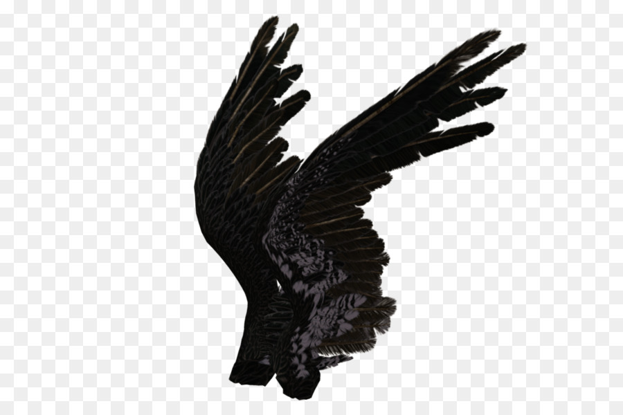 black angel wings side view