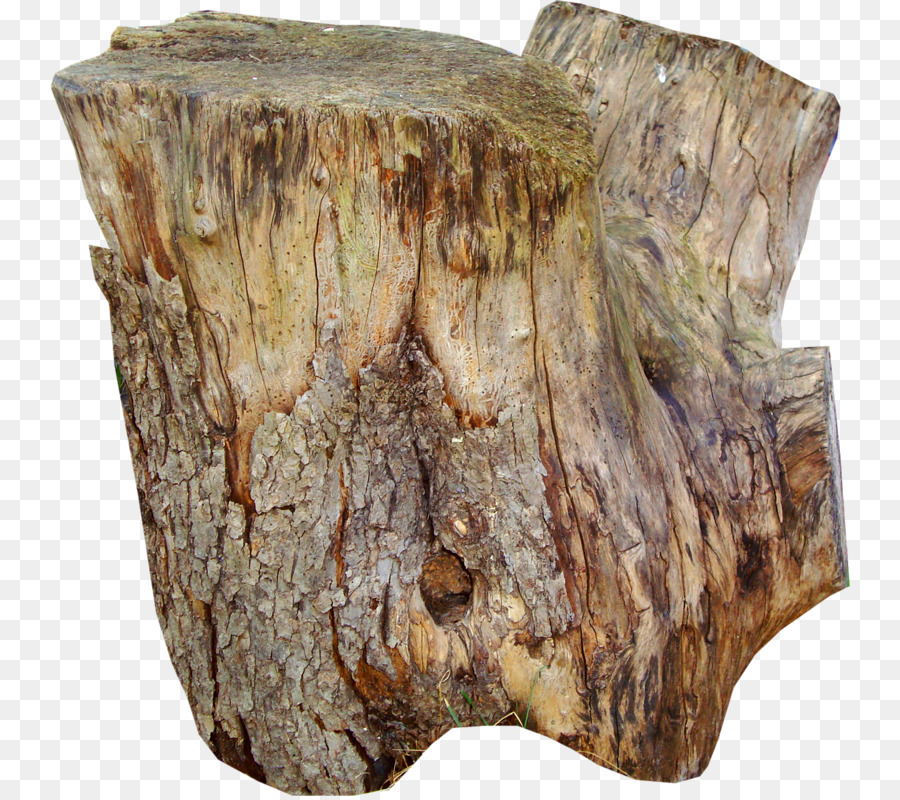 Tisch Baumstamm Baumstumpf Holz - Stumpf