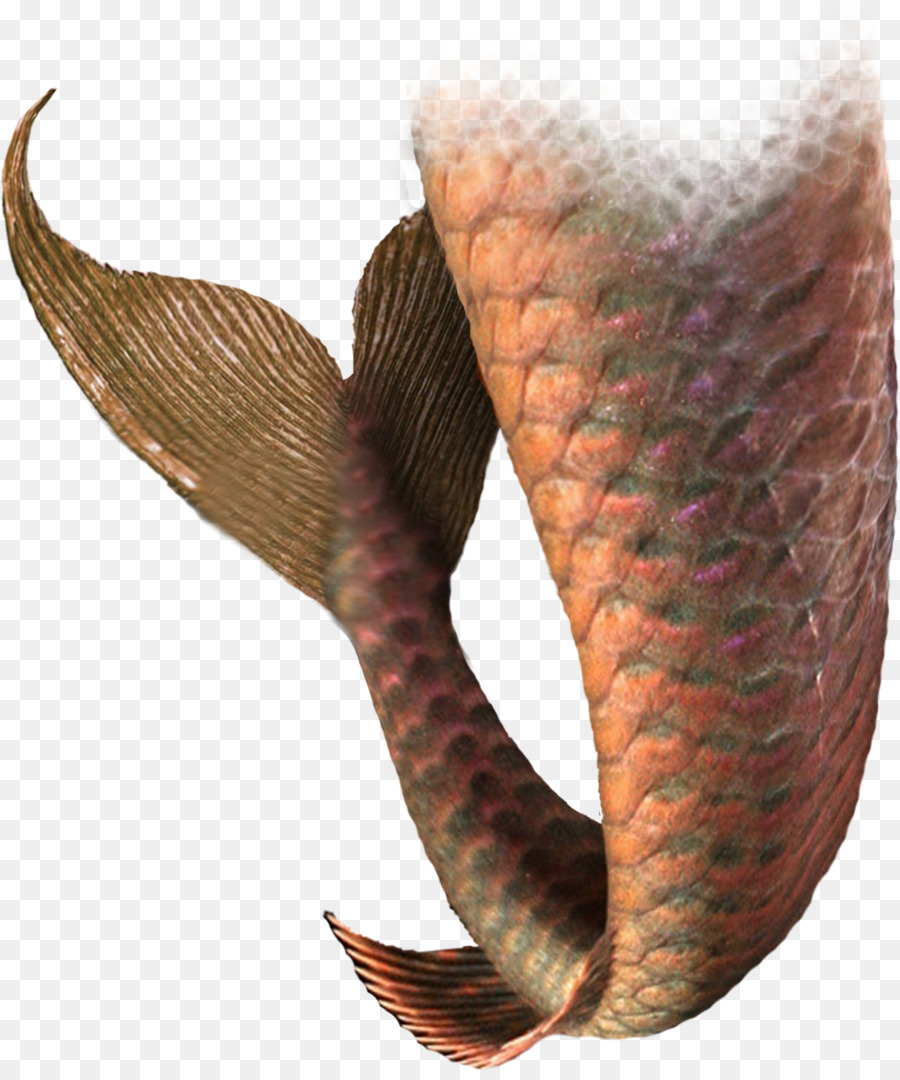 Mermaid Tail Farbe - mermaid Schwanz