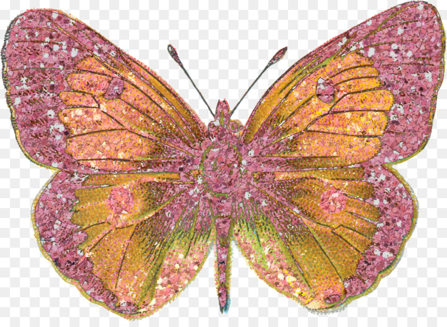Schmetterling Insekt Scrapbooking Verschönerung - Bling