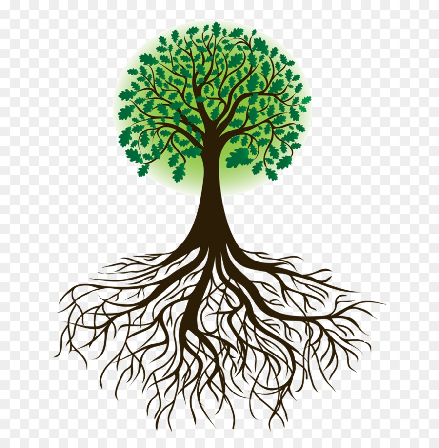 Wurzel-Baum-Zeichnung Clip art - Root