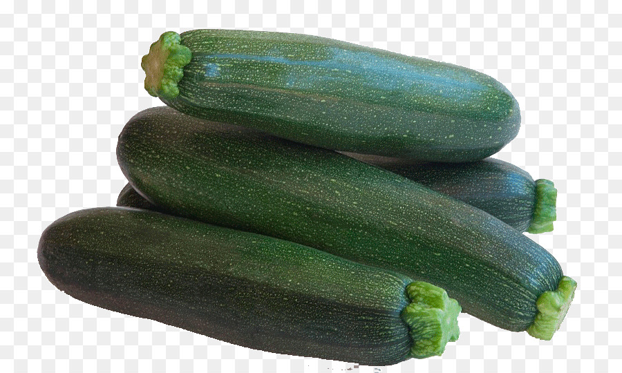 Zucchini-Gurken-Calabaza-Gemüse-Sommer-squash - Gemüse