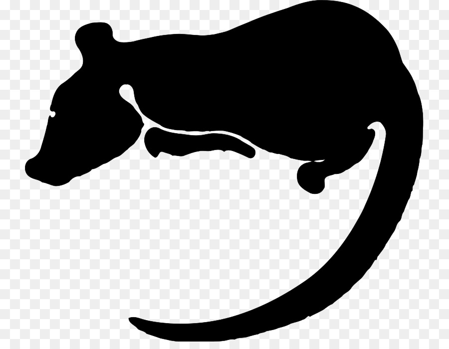 Loài chuột thí nghiệm, chuột Đen đạo Trung Clip nghệ thuật - con chuột