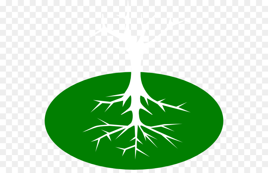 Root Tree Clip art - Root
