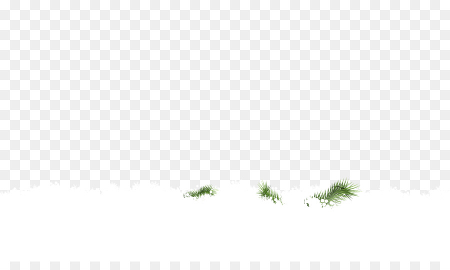 Baum-Blatt-Desktop Wallpaper Himmel Pflanze - Schnee