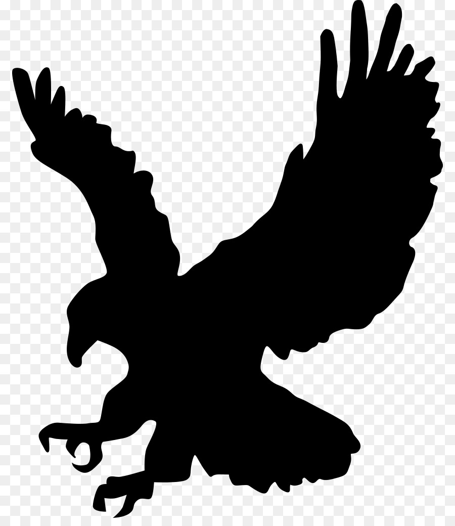 Bald Eagle clipart - Adler