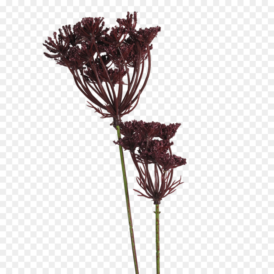 Artificial flower Red deer Pflanzen Schnittblumen - Petersilie