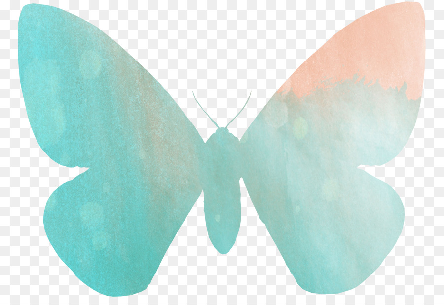 Farfalla Papilio demoleus pittura ad Acquerello Battus philenor Papilio grosesmithi - acquerello farfalla