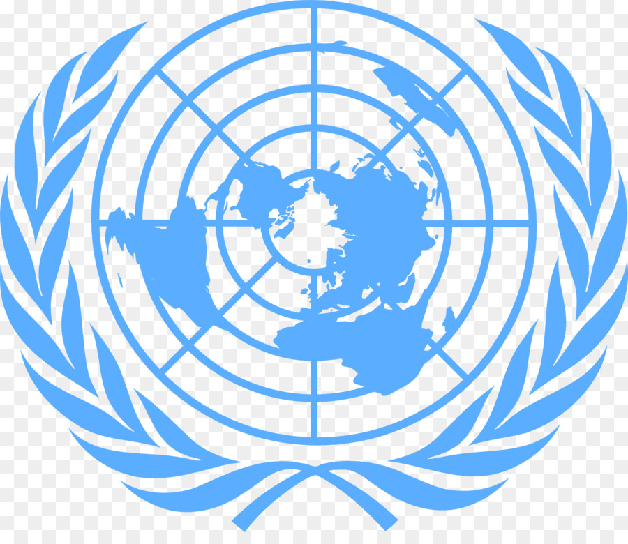 United Nations Secretariat United Nations Development Group-Flag des übereinkommens der Vereinten Nationen über die Rechte von Menschen mit Behinderungen - Organisation