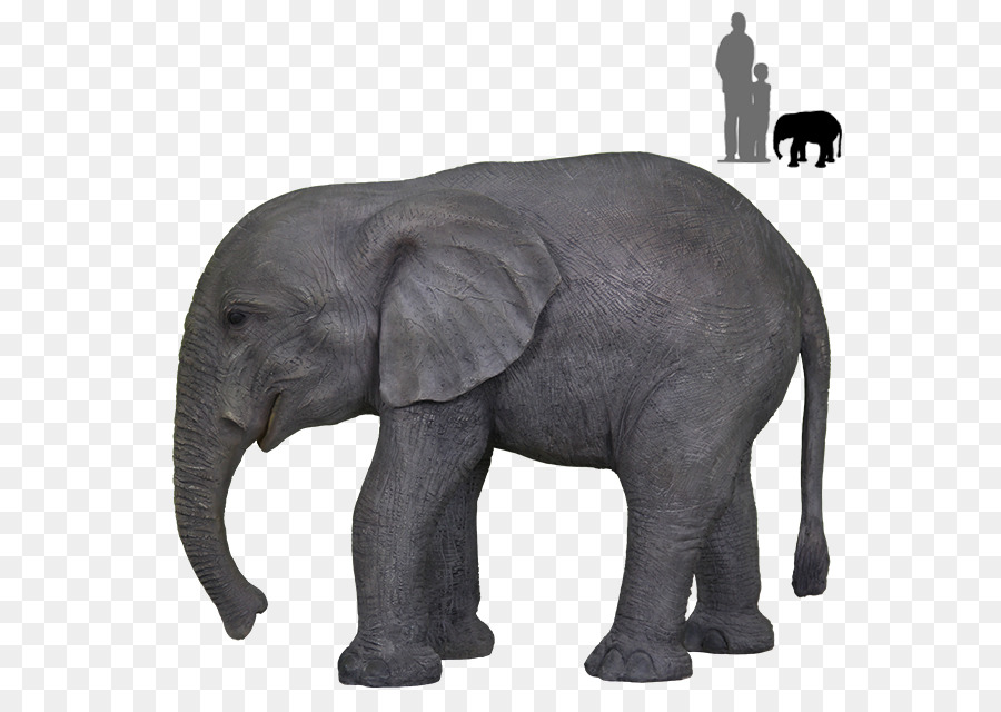 Maldon elefante Africano, il Rubino, Cucina a Chigborough Lodge elefante Indiano - elephant motivo