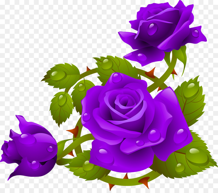 Garden Roses, Purple, Rose Order, Flower Arranging, Floristry, Rose Family,...