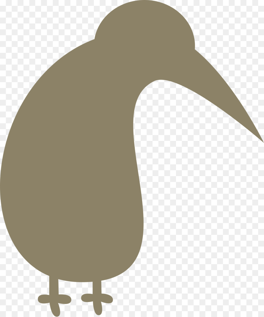 Chim Tải về Clip nghệ thuật - chim kiwi