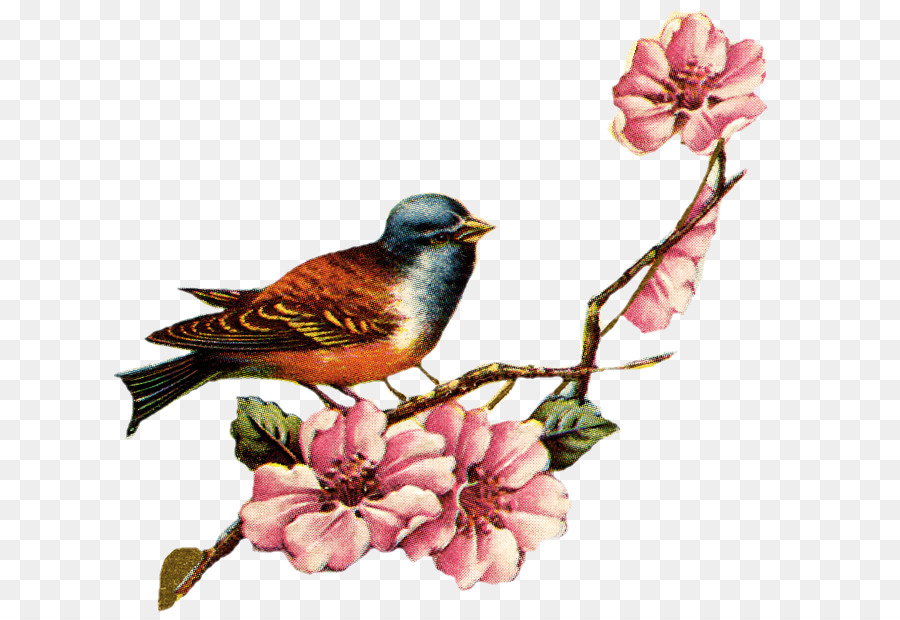 Ngày Valentine Cưới lời Chào mời Và Thẻ Ghi Clip Tim nghệ thuật - màu nước con chim