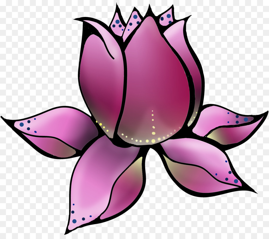 Thực nucifera Hoa Clip nghệ thuật Yoga - hoa sen