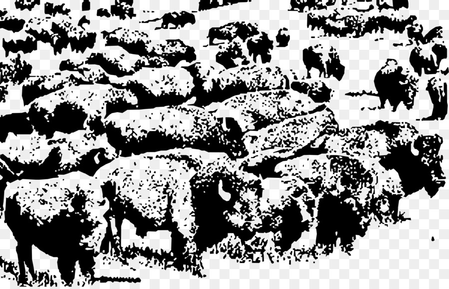 Buffalo-Herde American bison Clip art - Büffel