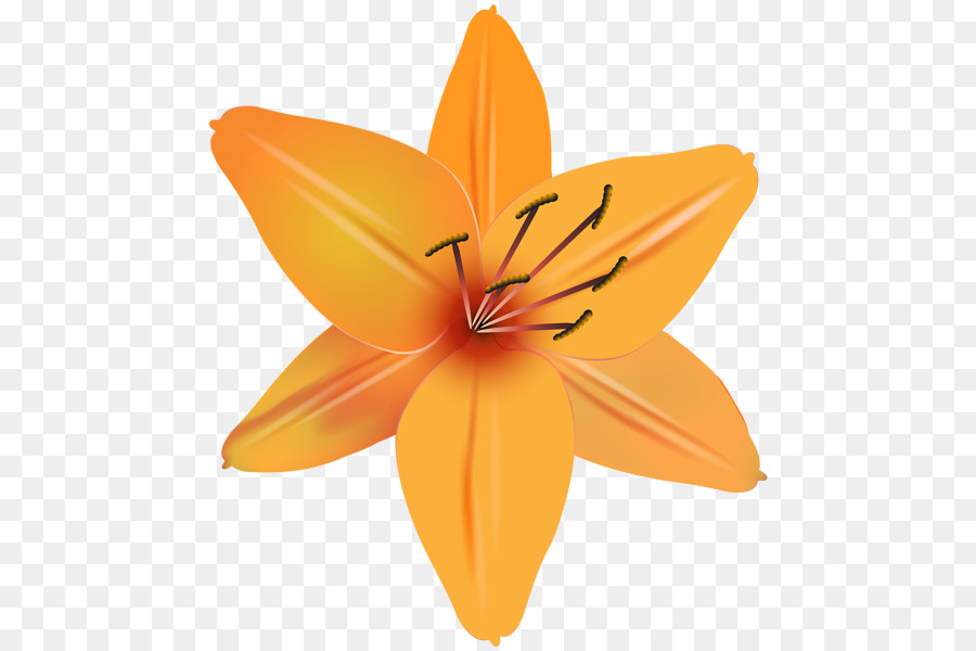 Blume iPhone 7 Plus Clip-art - orange Blume