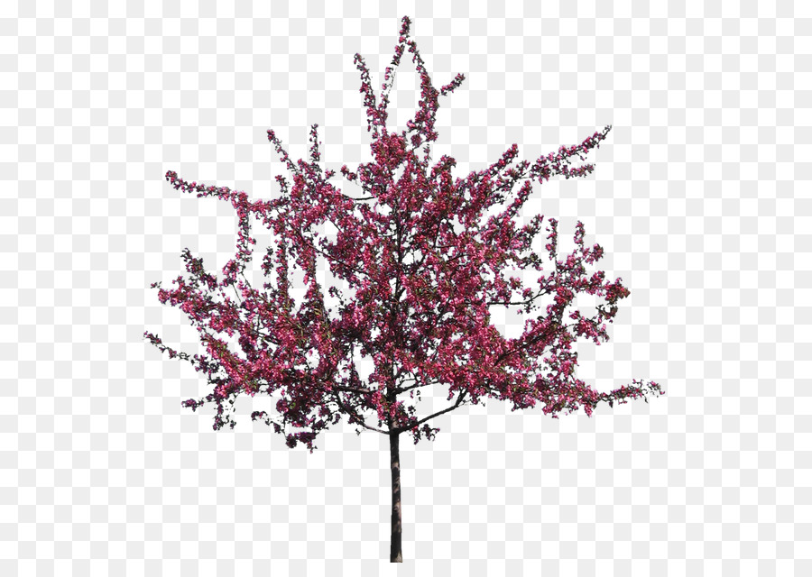 Silhouette clipart - fiore albero
