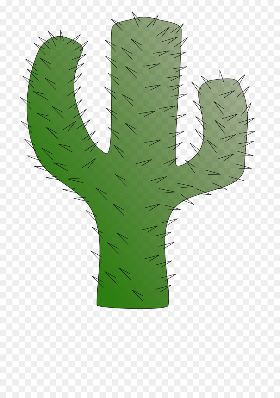 Cactaceae Saguaro Sukkulente pflanze clipart - Kaktus