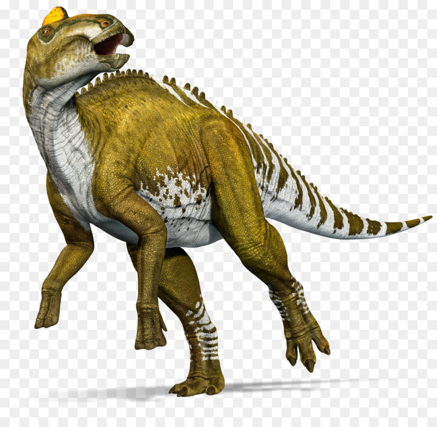 Văn annectens Tyrannosaurus Lance Hình Gorgosaurus kỷ Phấn trắng - Thế Kỷ Jura