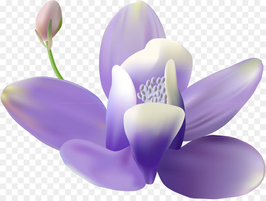 Fiore Murale Dipinto - lilla