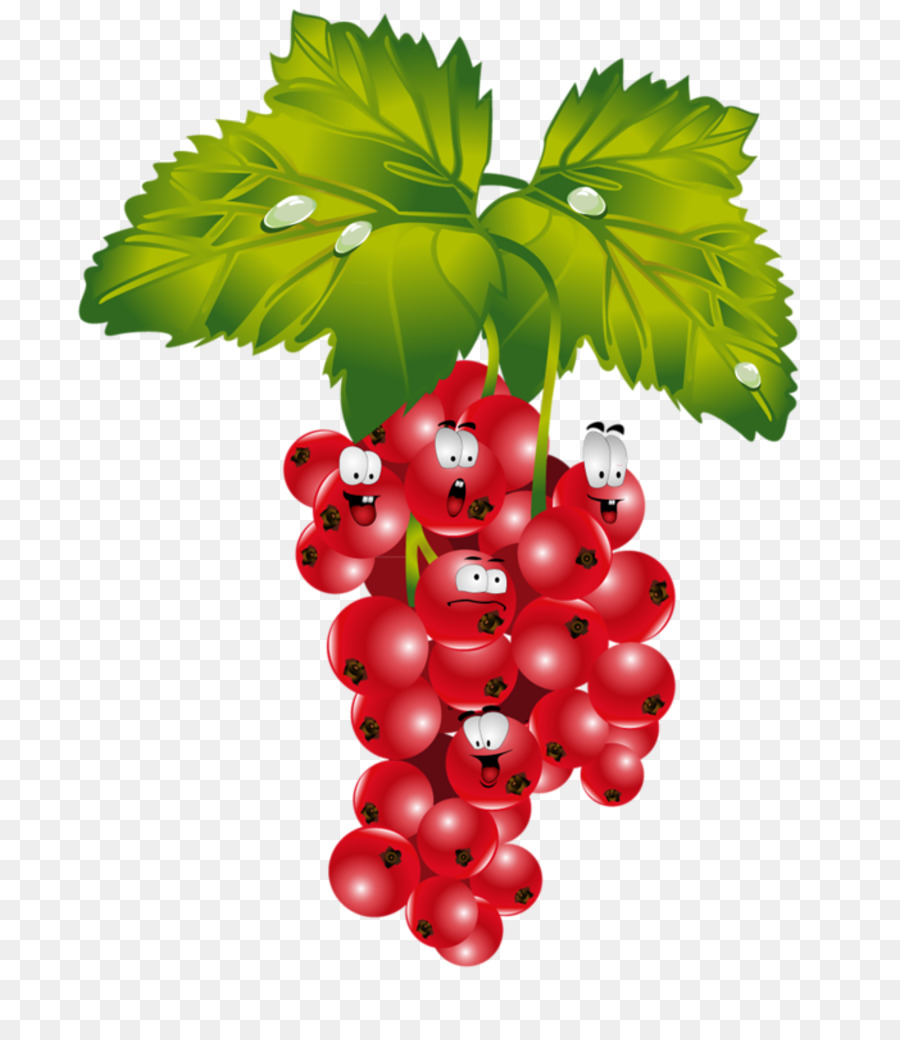 Ribes Rosso Fragola Frutta Versetto - frutta e verdura