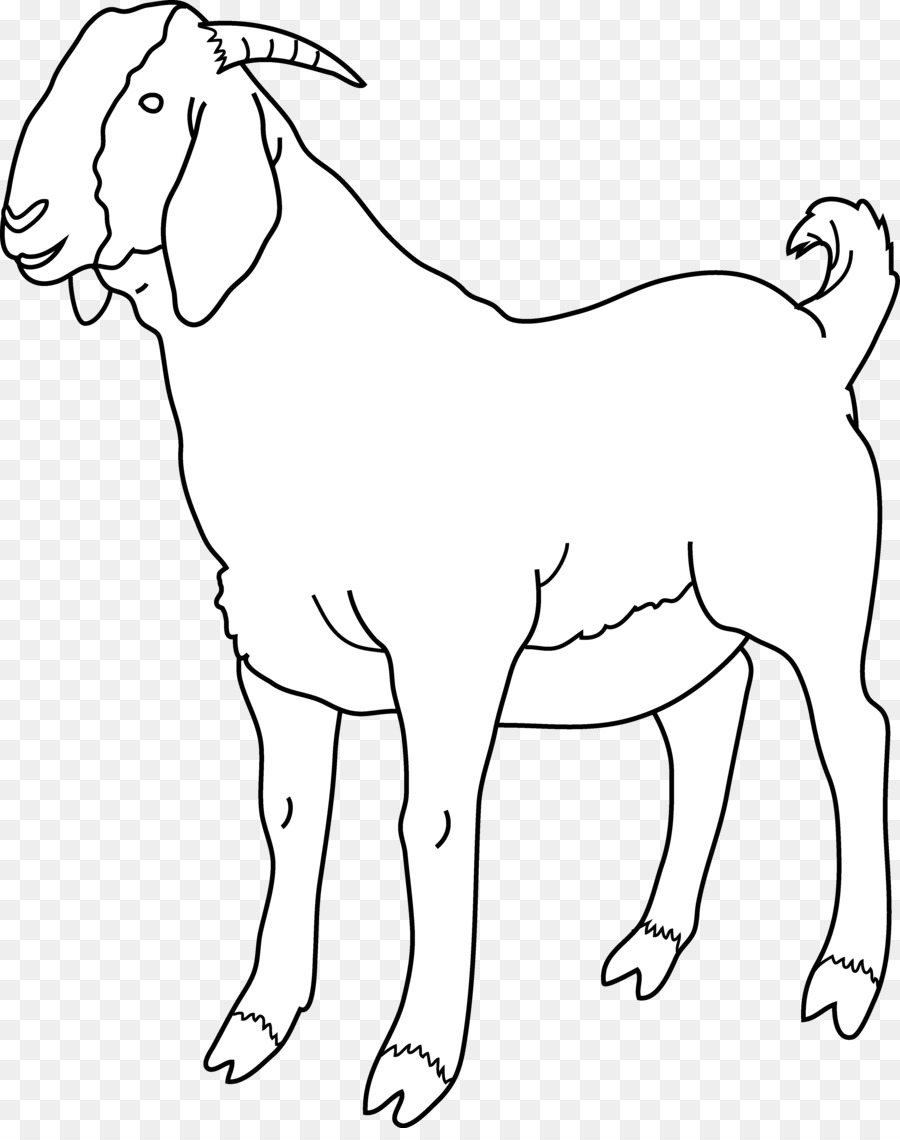 Sheep Cartoon png download - 4202*5266 - Free Transparent Boer Goat png  Download. - CleanPNG / KissPNG