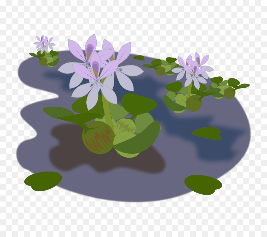 Teich Common water hyacinth Clip art - Teich
