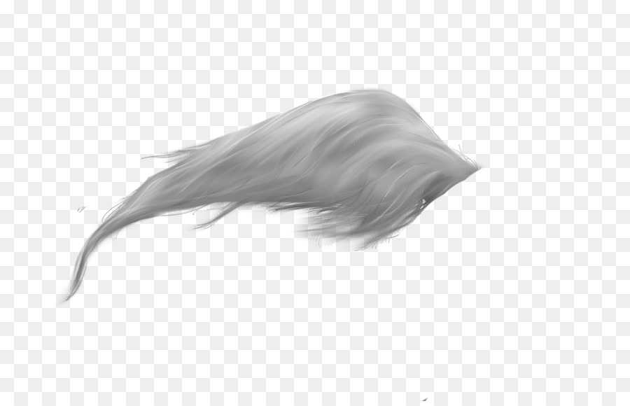 Pferd-Schwanz-Feder Clip-art - lange Haare