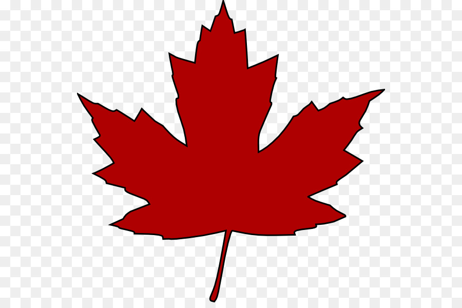 Maple Leaf Drawing PNG and Maple Leaf Drawing Transparent Clipart Free  Download. - CleanPNG / KissPNG