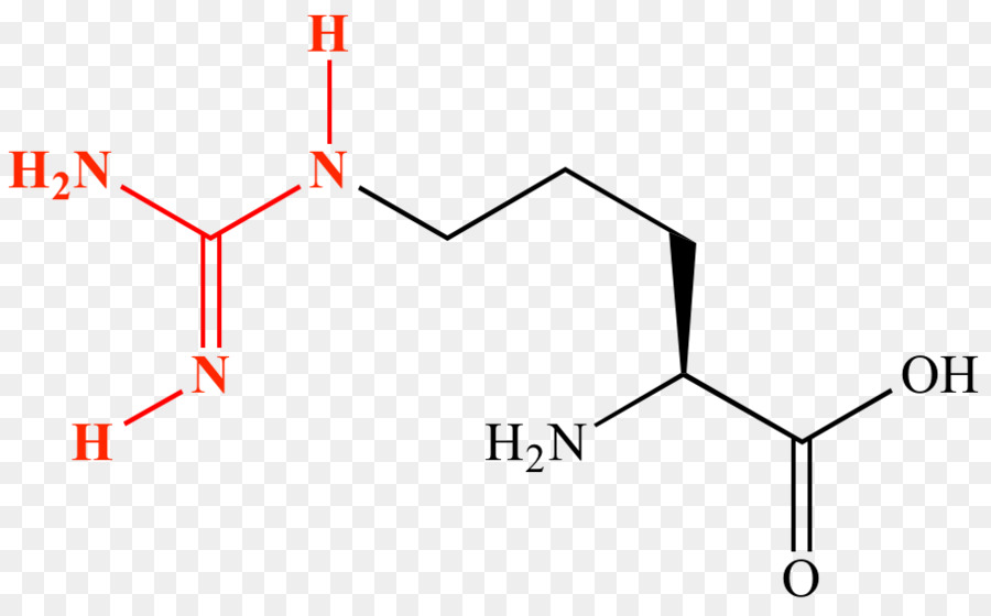 Amino acido Amminico Guanidina Proteina di struttura di Lewis - Chimica