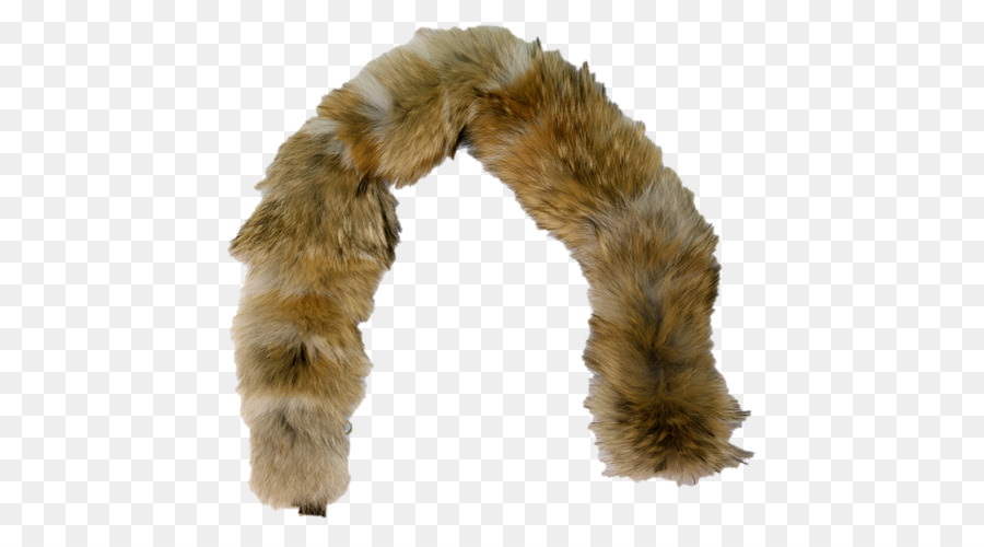 Coyote Pelliccia abbigliamento Muskrat Ruff - pelliccia