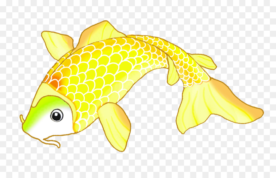 Fisch, Meeresfrüchte Tierische Gelb Fauna - Koi
