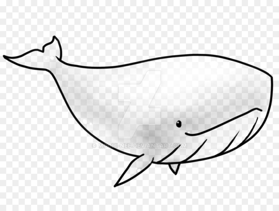 I delfini balena Killer Narwhal - Balena