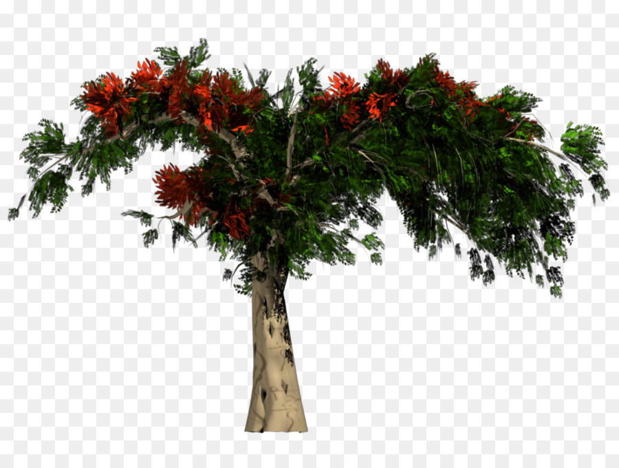 Baum Rendering Textur-mapping-clipart - Orangenbaum