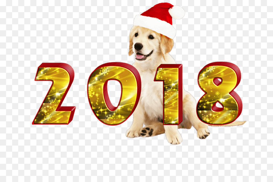 Hund chinesisches Neujahr Neujahrstag New Year ' s resolution - frohes neues Jahr