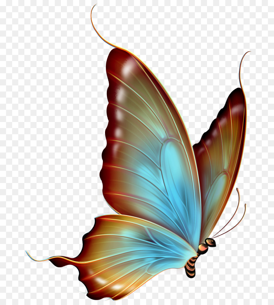 Butterfly Greta oto Clip art - Fliegen