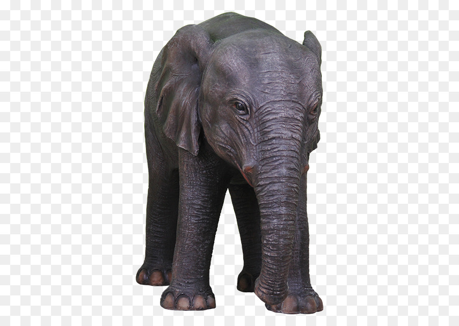 Elefante indiano elefante Africano Terrestre animali selvatici - elephant motivo