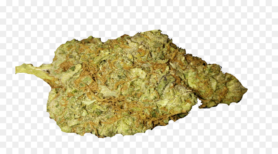 Cannabis-Blue Dream Bud Tetrahydrocannabinol - Budweiser