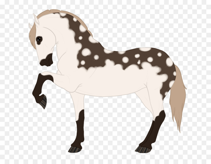 Mustang Con Ngựa Pony Mare Ngựa Tack - thám hiểm