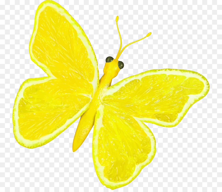 Butterfly Lemon, Orange Fruit clipart - Zitrus