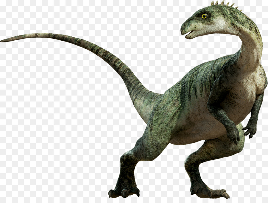 Pachyrhinosaurus Gorgosaurus Scowler Parksosaurus Văn - khủng long
